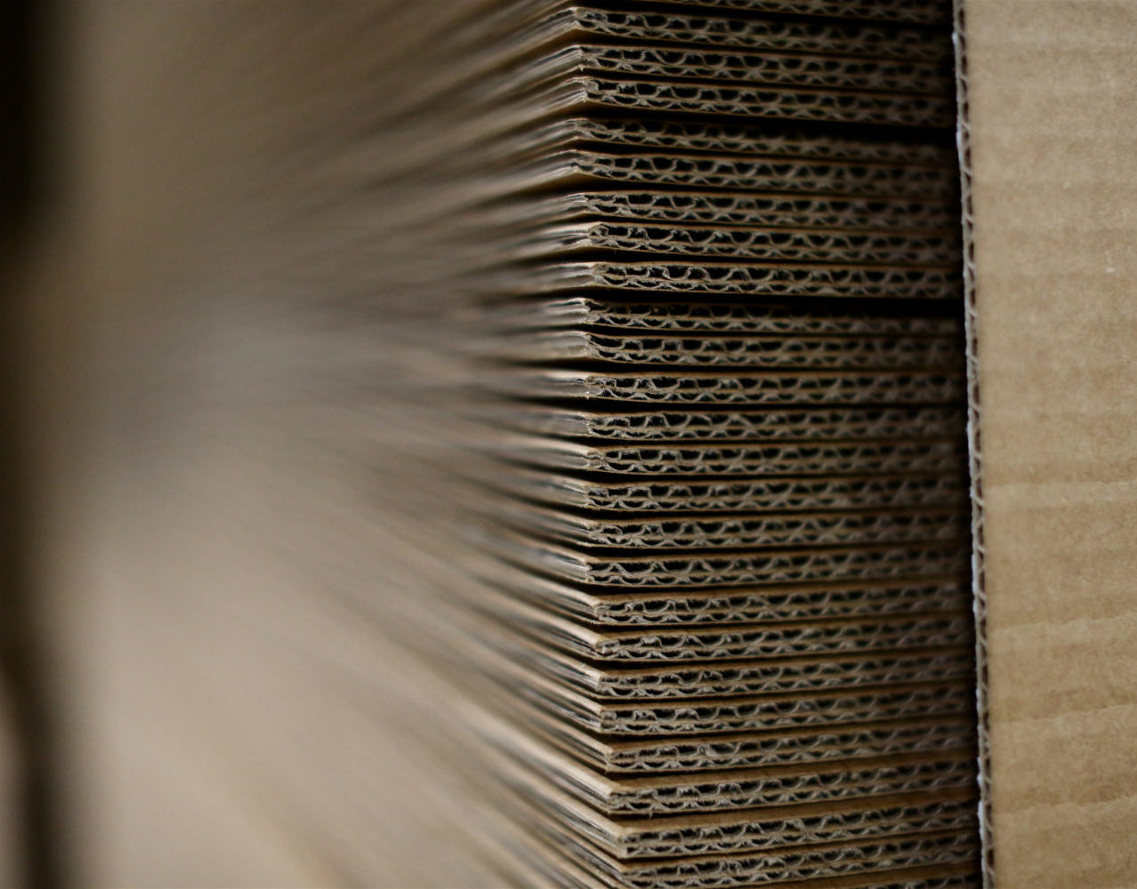 https://www.flutescorrugated.com/wp-content/uploads/2022/12/IMG_0003-scaled-e1670428562765.jpg